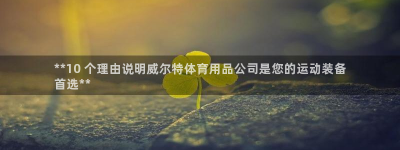 欧陆娱乐挂机项目怎么设置：**10 个理由说明威尔特