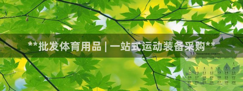 欧陆娱乐登陆官网入口：**批发体育用品 | 一站式运