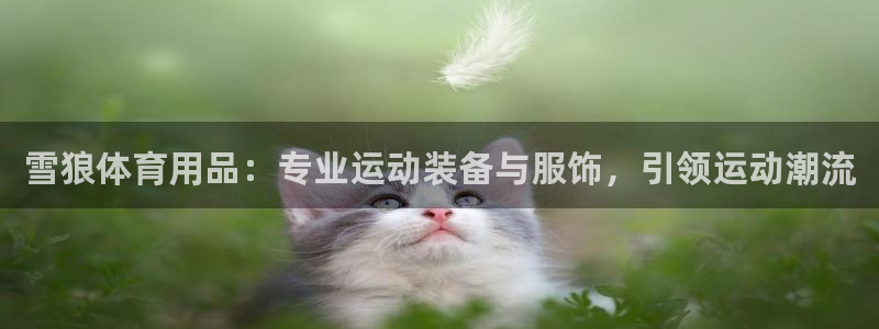 欧陆娱乐：雪狼体育用品：专业运动装备与服饰，引领运动