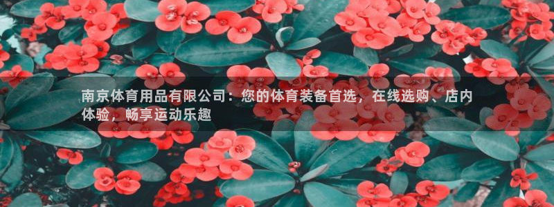 欧陆娱乐平台咋样赚钱：南京体育用品有限公司：您的体育