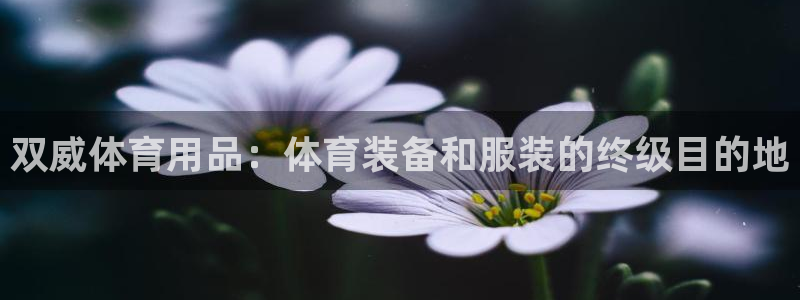 欧陆娱乐脚本下载：双威体育用品：体育装备和服装的终级