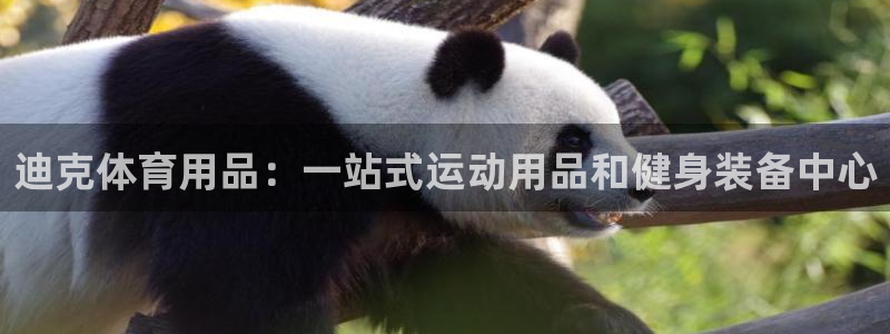 欧陆娱乐能不能玩：迪克体育用品：一站式运动用品和健身