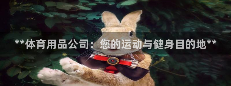 欧陆娱乐官方网站入口：**体育用品公司：您的运动与健