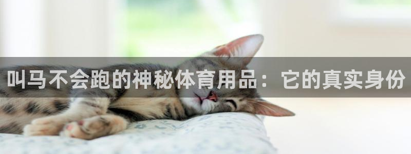 欧陆娱乐总代：叫马不会跑的神秘体育用品：它的真实身份