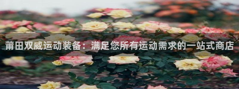 欧陆娱乐客服电话号码：莆田双威运动装备：满足您所有运