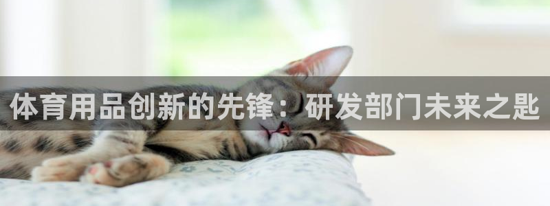 欧陆娱乐公司产品介绍：体育用品创新的先锋：研发部门未