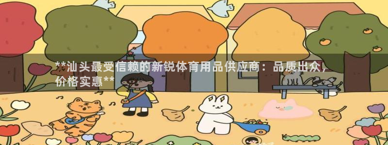 欧陆娱乐共创美好：**汕头最受信赖的新锐体育用品供应