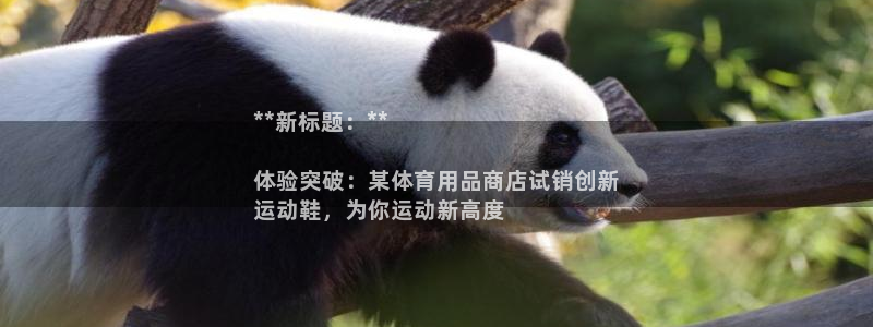 欧陆娱乐测试官网：**新标题：**

体验突破：某体育用品商