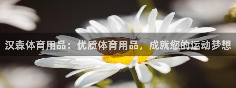 欧陆娱乐官网注册中心：汉森体育用品：优质体育用品，成就您的运