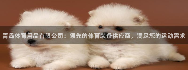 欧陆娱乐登录测速怎么关闭：青岛体育用品有限公司：领先