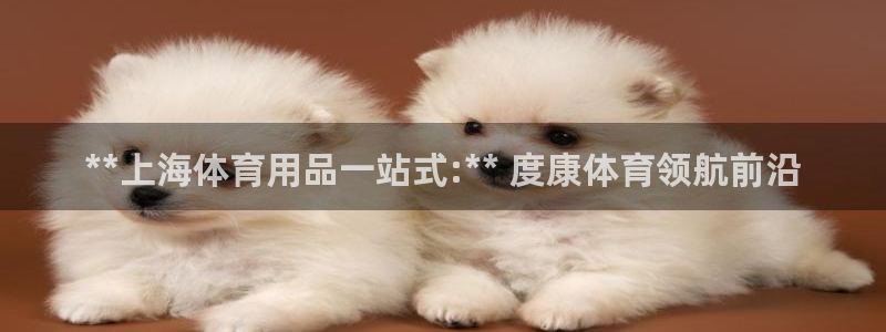 欧陆娱乐注册代理多少钱一个月：**上海体育用品一站式