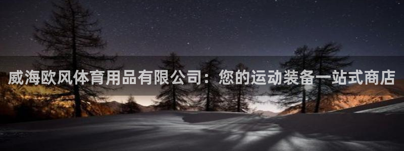 欧陆娱乐公司产品介绍大全：威海欧风体育用品有限公司：