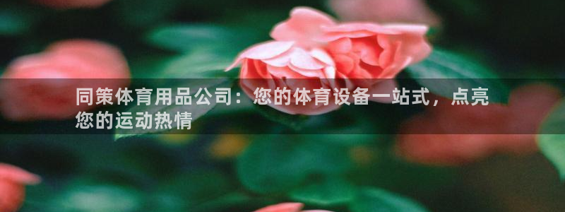 欧陆娱乐是正规平台吗安全吗知乎：同策体育用品公司：您