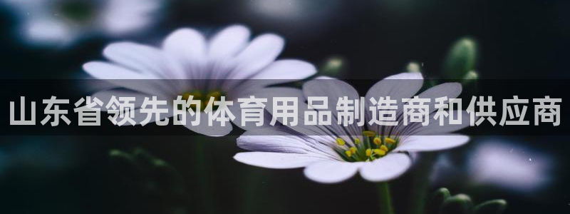欧陆平台：山东省领先的体育用品制造商和供应商