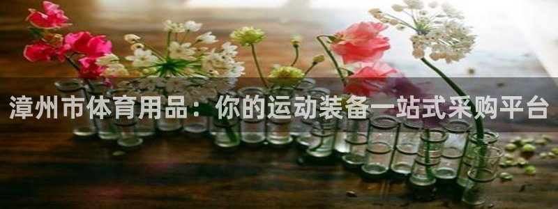 欧陆娱乐注册链接怎么弄：漳州市体育用品：你的运动装备