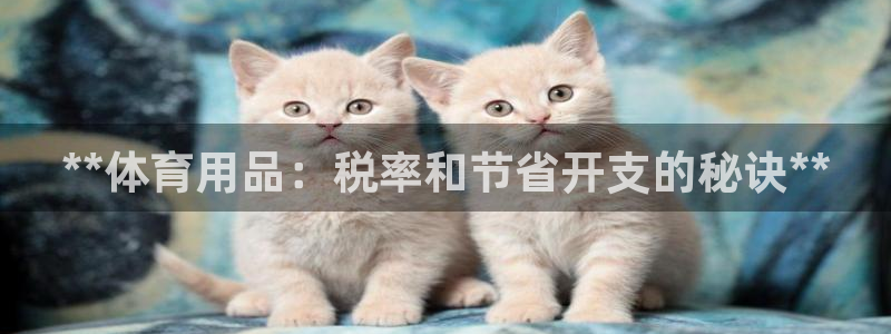欧陆娱乐官网首页下载：**体育用品：税率和节省开支的