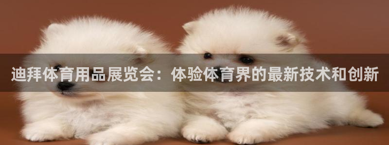 欧陆娱乐注册链接安全吗是真的吗：迪拜体育用品展览会：