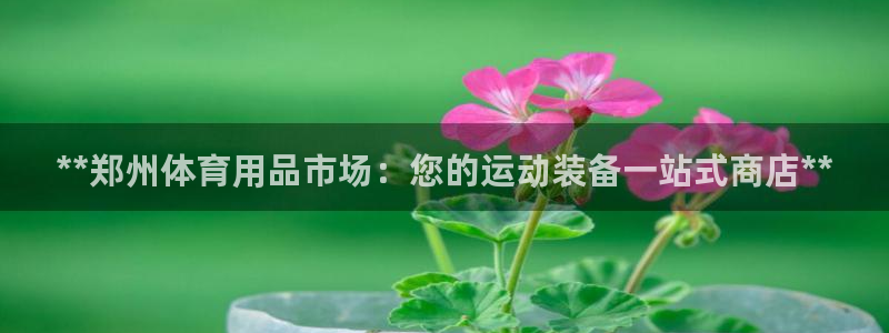 欧陆娱乐共创美好时刻：**郑州体育用品市场：您的运动