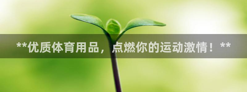 欧陆游戏平台：**优质体育用品，点燃你的运动激情！*