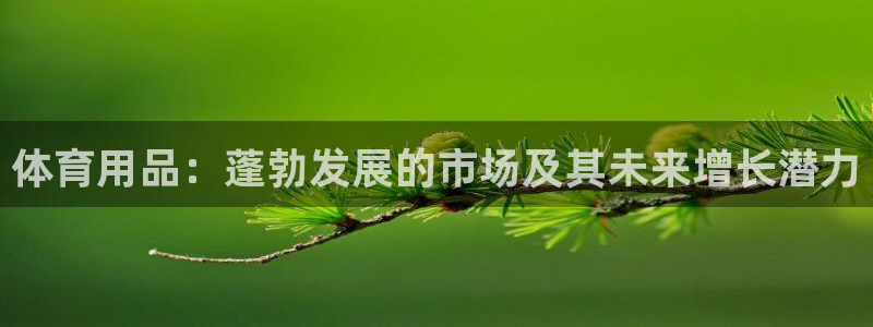 欧陆娱乐登陆官网入口：体育用品：蓬勃发展的市场及其未