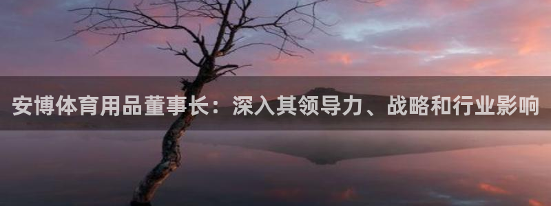 欧陆娱乐官网下载安装最新版：安博体育用品董事长：深入其领导力
