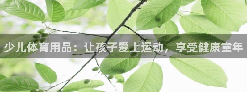 欧陆娱乐是正规平台吗安全吗：少儿体育用品：让孩子爱上