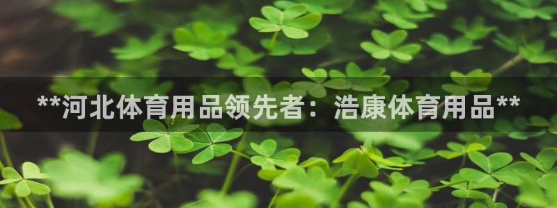 欧陆娱乐注册代理多少钱：**河北体育用品领先者：浩康