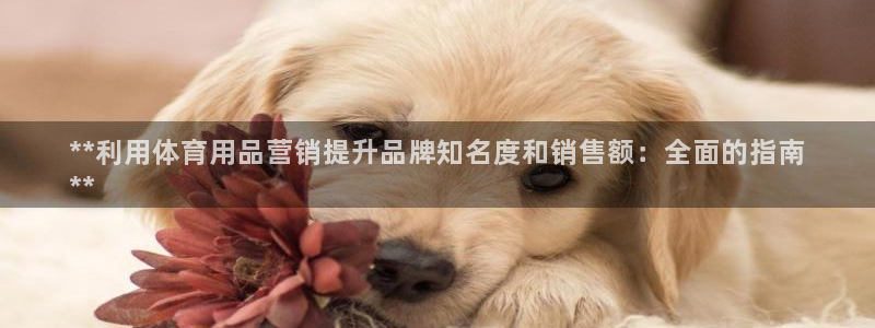 欧陆娱乐是正规平台吗安全吗可信吗知乎：**利用体育用