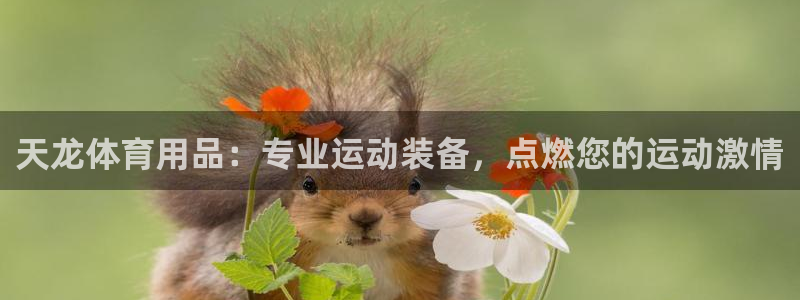 欧陆娱乐计划预测软件哪个好：天龙体育用品：专业运动装