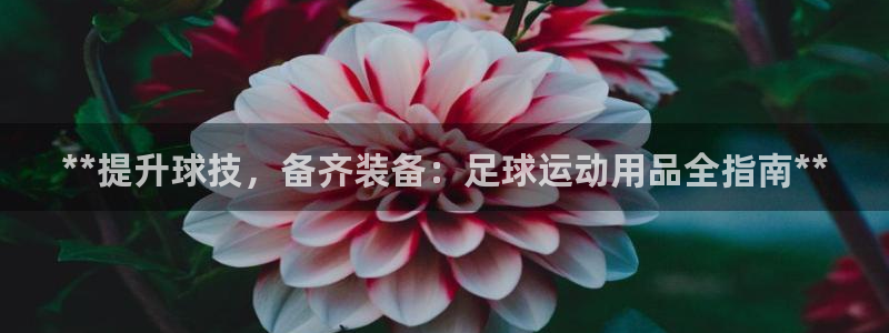 欧陆娱乐登陆官网网址：**提升球技，备齐装备：足球运