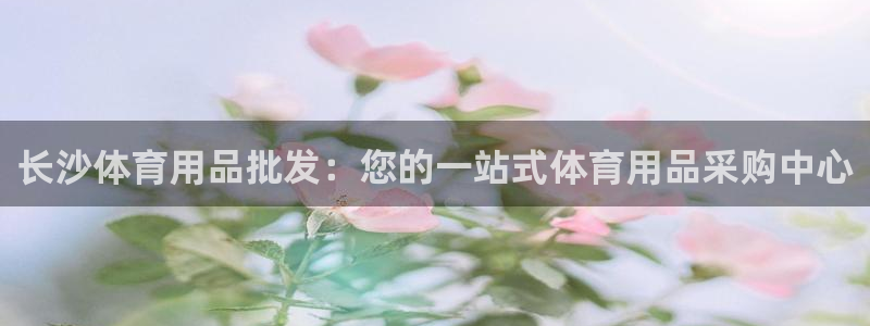 欧陆娱乐app攻略：长沙体育用品批发：您的一站式体育