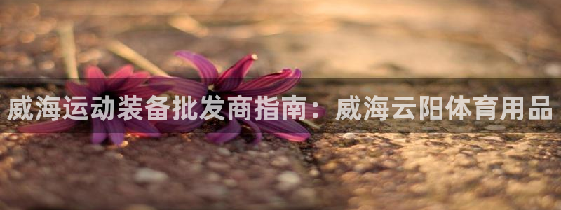 欧陆娱乐是正规平台吗安全吗可信吗是真的吗：威海运动装