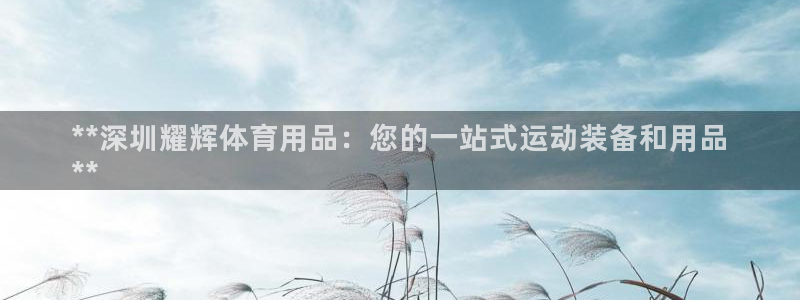 欧陆娱乐官网下载安装苹果：**深圳耀辉体育用品：您的