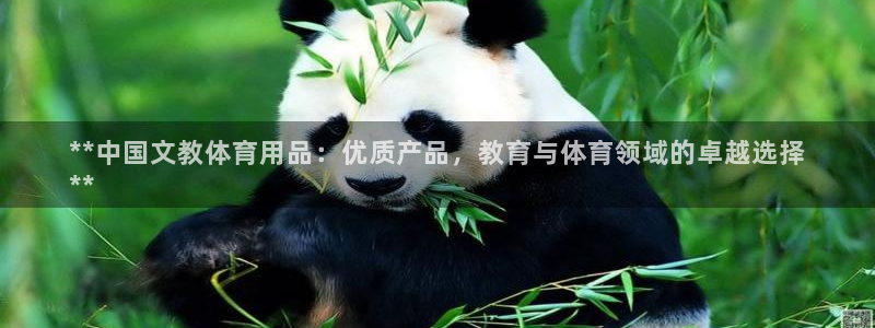 欧陆娱乐测速软件下载：**中国文教体育用品：优质产品