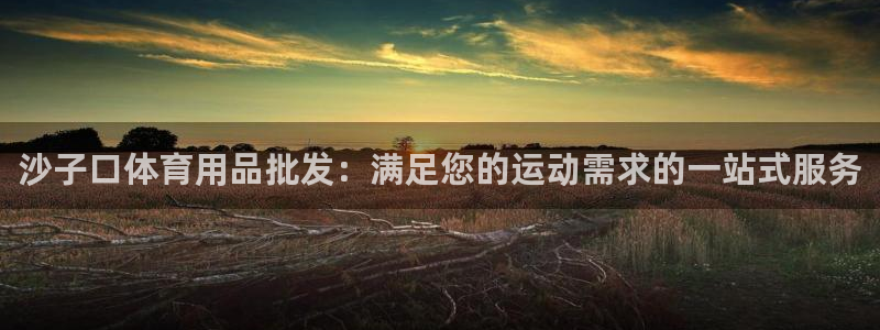欧陆娱乐平台毕 (q—43314) 旨：沙子口体育用
