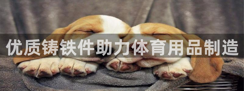 欧陆娱乐怎么注册帐号啊：优质铸铁件助力体育用品制造