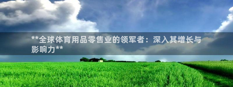 欧陆娱乐平台登录不上怎么办：**全球体育用品零售业的