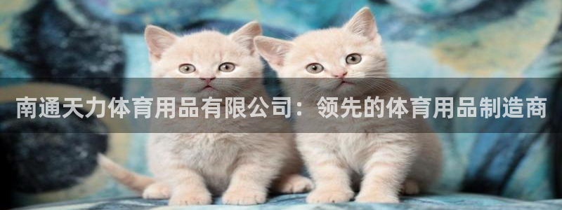 欧陆娱乐测试网站：南通天力体育用品有限公司：领先的体