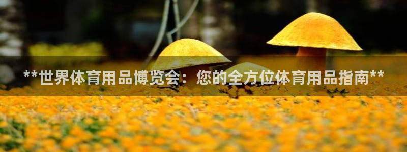 欧陆娱乐挂机怎么玩的：**世界体育用品博览会：您的全
