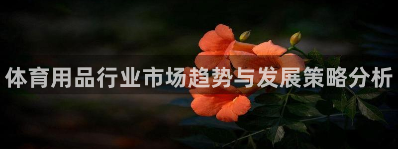 欧陆娱乐是正规平台吗安全吗知乎推荐：体育用品行业市场