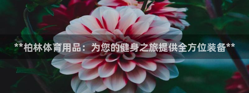 欧陆娱乐天富主管：**柏林体育用品：为您的健身之旅提