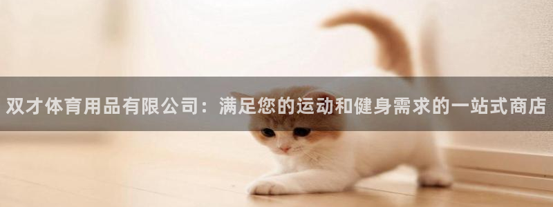 欧陆娱乐平台登陆地址：双才体育用品有限公司：满足您的