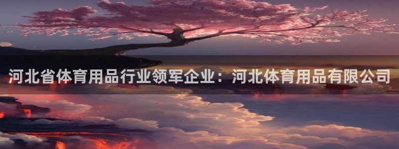 欧陆娱乐怎么注册账号登录：河北省体育用品行业领军企业