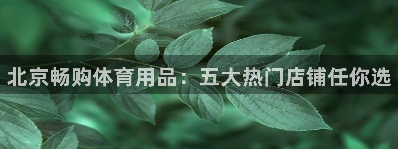 欧陆娱乐突然登录不了了：北京畅购体育用品：五大热门店