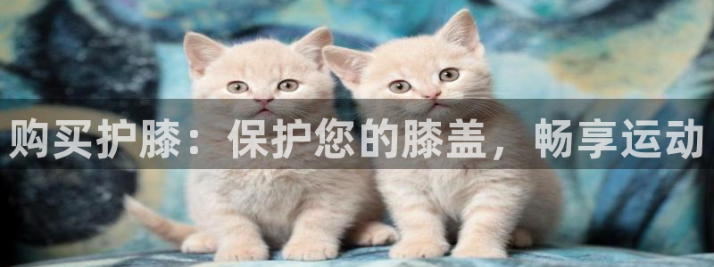 欧陆娱乐官网下载安装：购买护膝：保护您的膝盖，畅享运