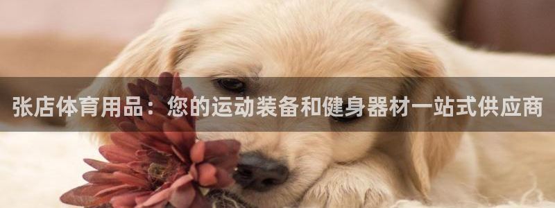 欧陆娱乐登录官网网址：张店体育用品：您的运动装备和健