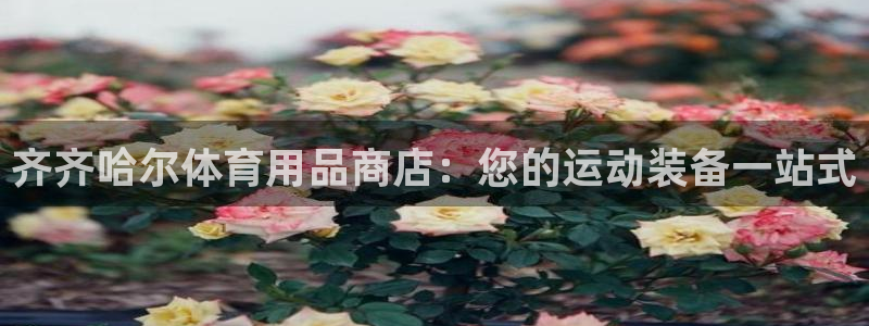 欧陆娱乐息7o777ts=0：齐齐哈尔体育用品商店：