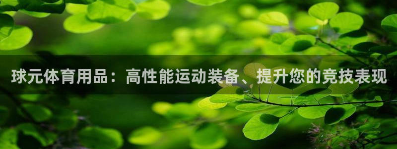 欧陆娱乐官网网址大全：球元体育用品：高性能运动装备、