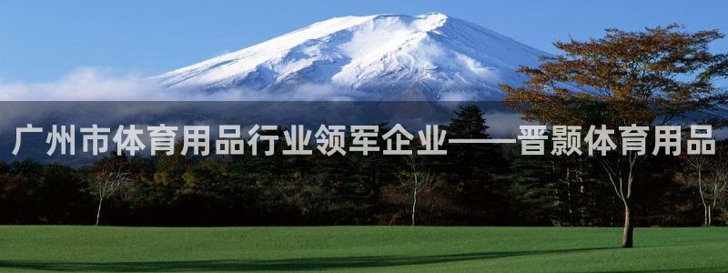 欧陆娱乐注册代理：广州市体育用品行业领军企业——晋颢