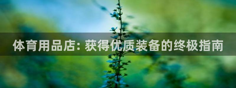 欧陆娱乐出款了吗：体育用品店: 获得优质装备的终极指